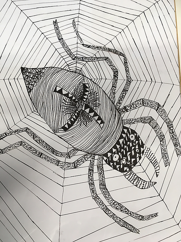 Spinnen - grafische Strukturen